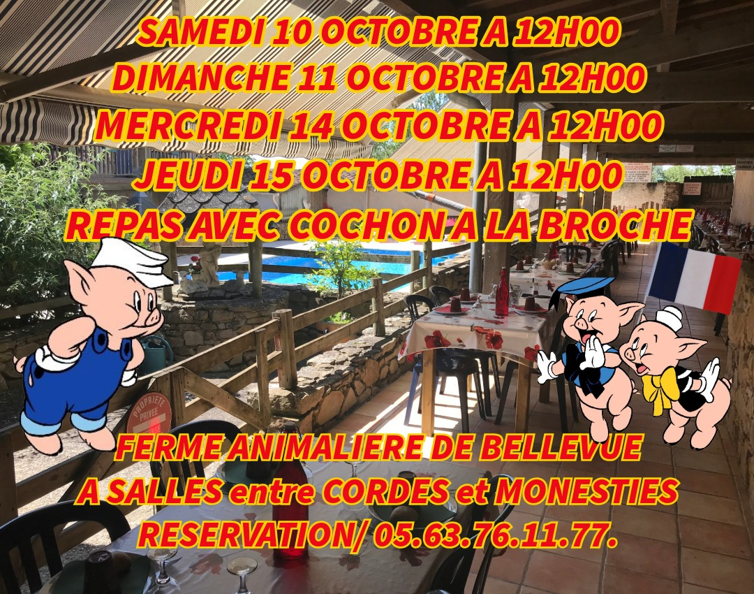 UNIQUE ATYPIQUE AUTHENTIQUE PEDAGOGIQUE