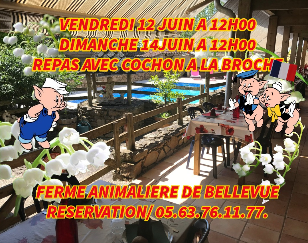 UNIQUE ATYPIQUE AUTHENTIQUE PEDAGOGIQUE