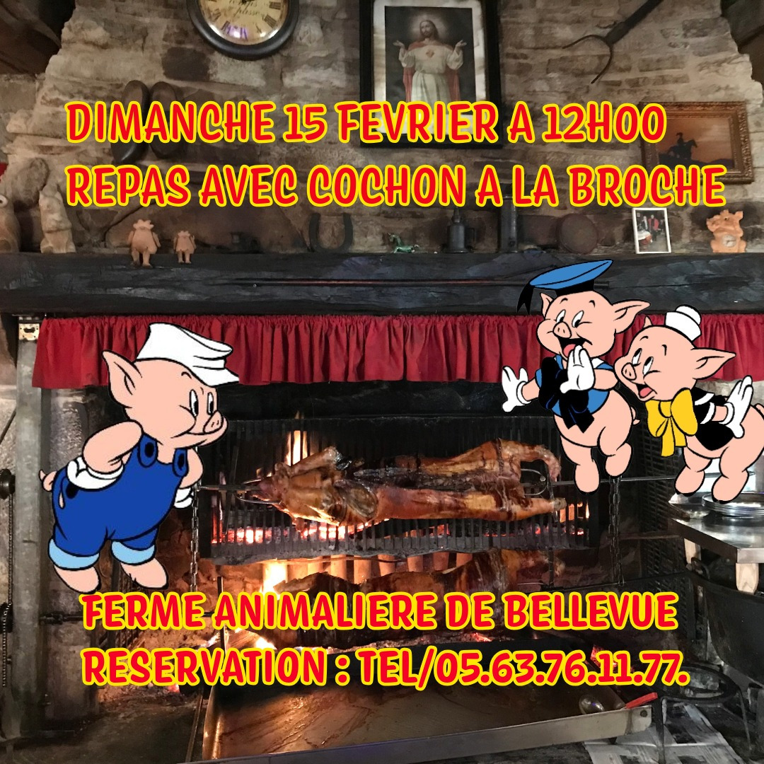 UNIQUE ATYPIQUE AUTHENTIQUE PEDAGOGIQUE