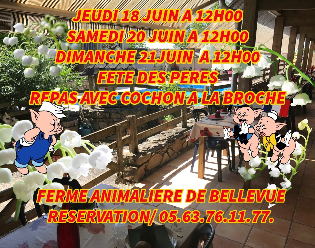 UNIQUE ATYPIQUE AUTHENTIQUE PEDAGOGIQUE
