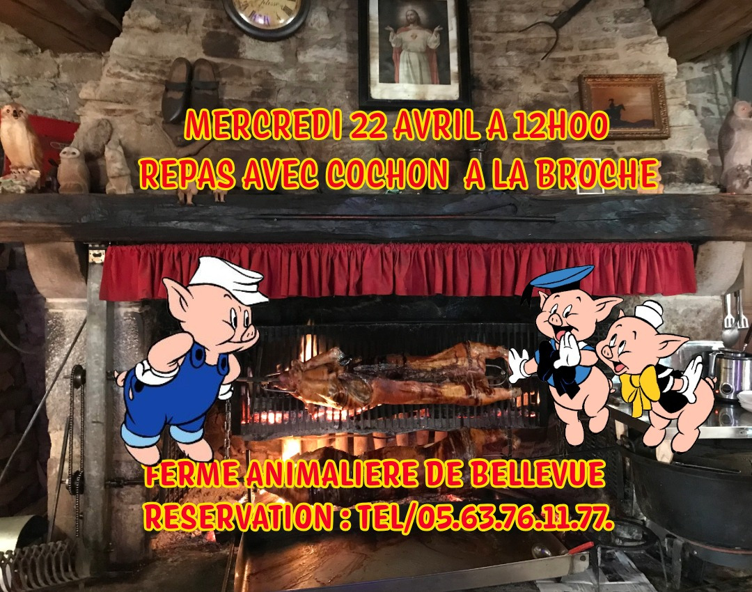 UNIQUE ATYPIQUE AUTHENTIQUE PEDAGOGIQUE