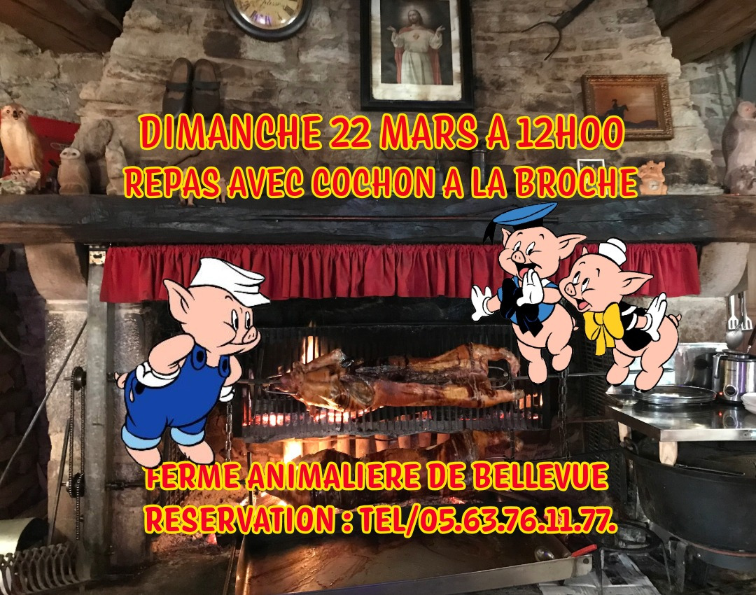 UNIQUE ATYPIQUE AUTHENTIQUE PEDAGOGIQUE