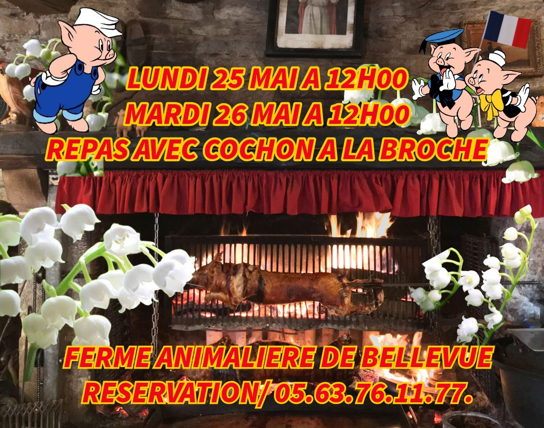 UNIQUE ATYPIQUE AUTHENTIQUE PEDAGOGIQUE