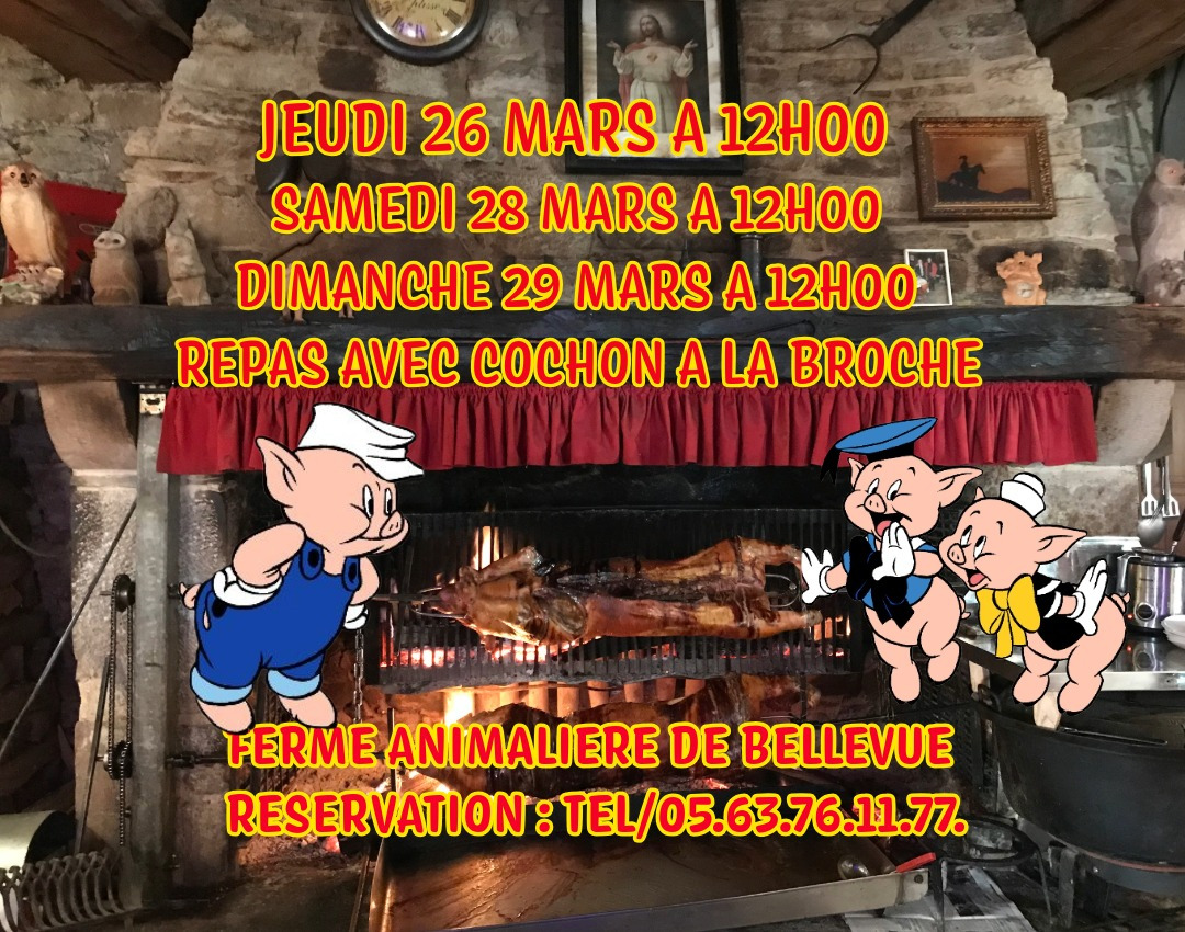 UNIQUE ATYPIQUE AUTHENTIQUE PEDAGOGIQUE