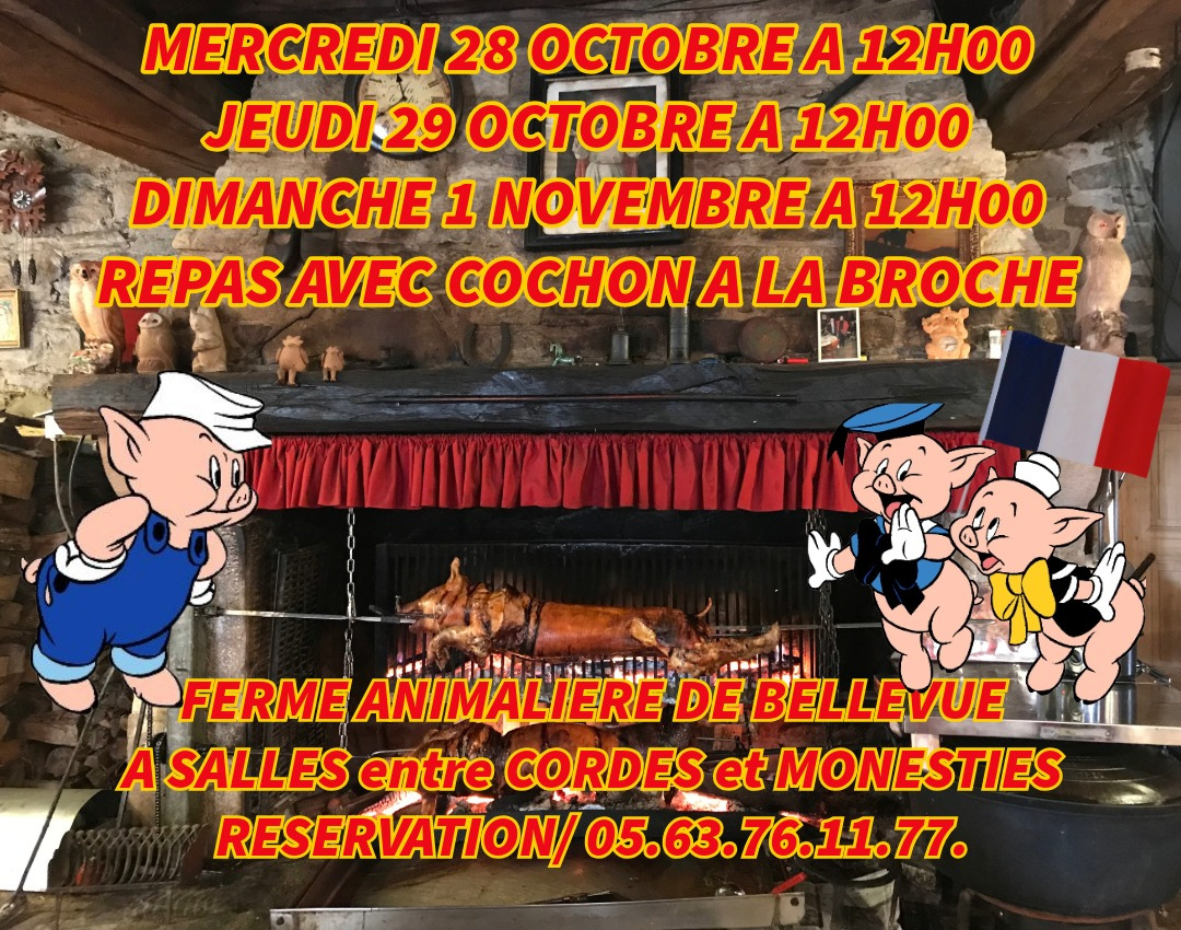 UNIQUE ATYPIQUE AUTHENTIQUE PEDAGOGIQUE