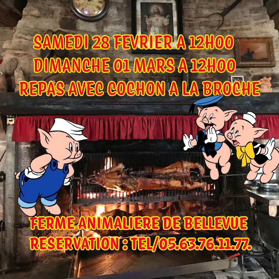 UNIQUE ATYPIQUE AUTHENTIQUE PEDAGOGIQUE