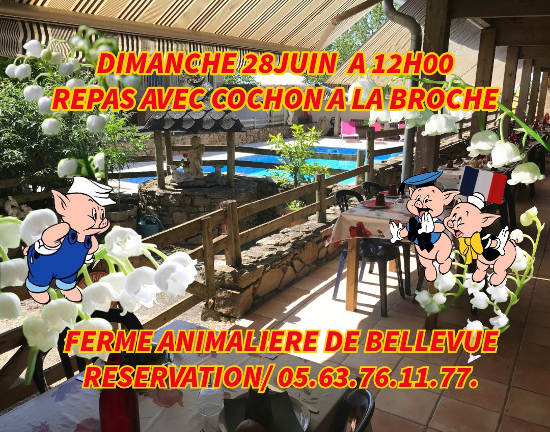 UNIQUE ATYPIQUE AUTHENTIQUE PEDAGOGIQUE