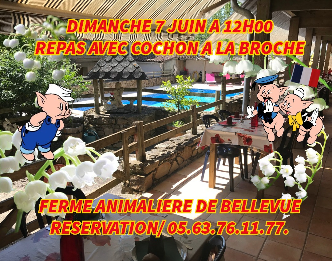 UNIQUE ATYPIQUE AUTHENTIQUE PEDAGOGIQUE