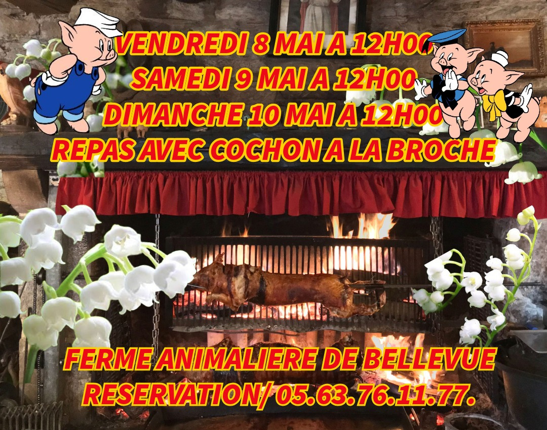 UNIQUE ATYPIQUE AUTHENTIQUE PEDAGOGIQUE