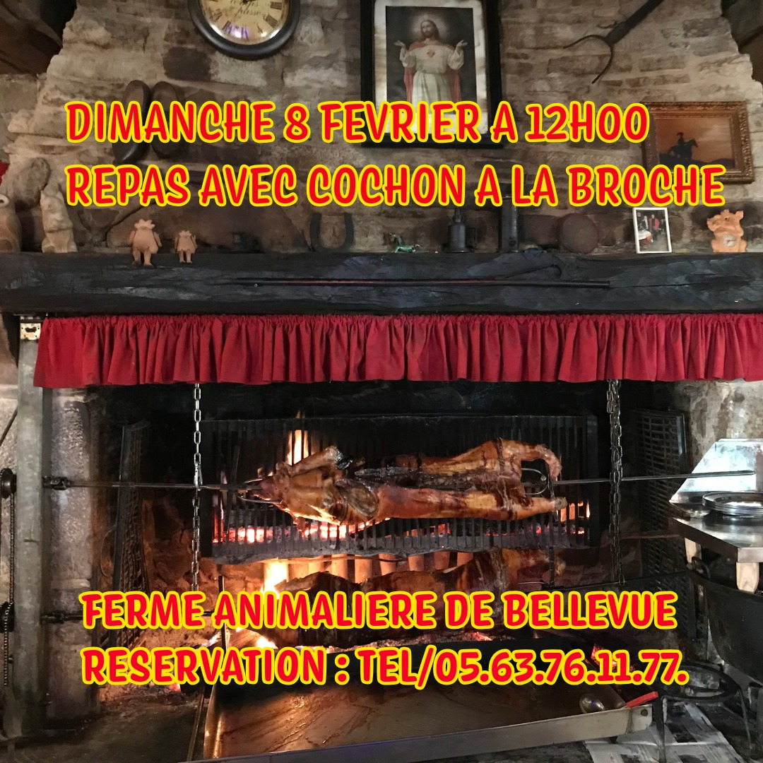 UNIQUE ATYPIQUE AUTHENTIQUE PEDAGOGIQUE