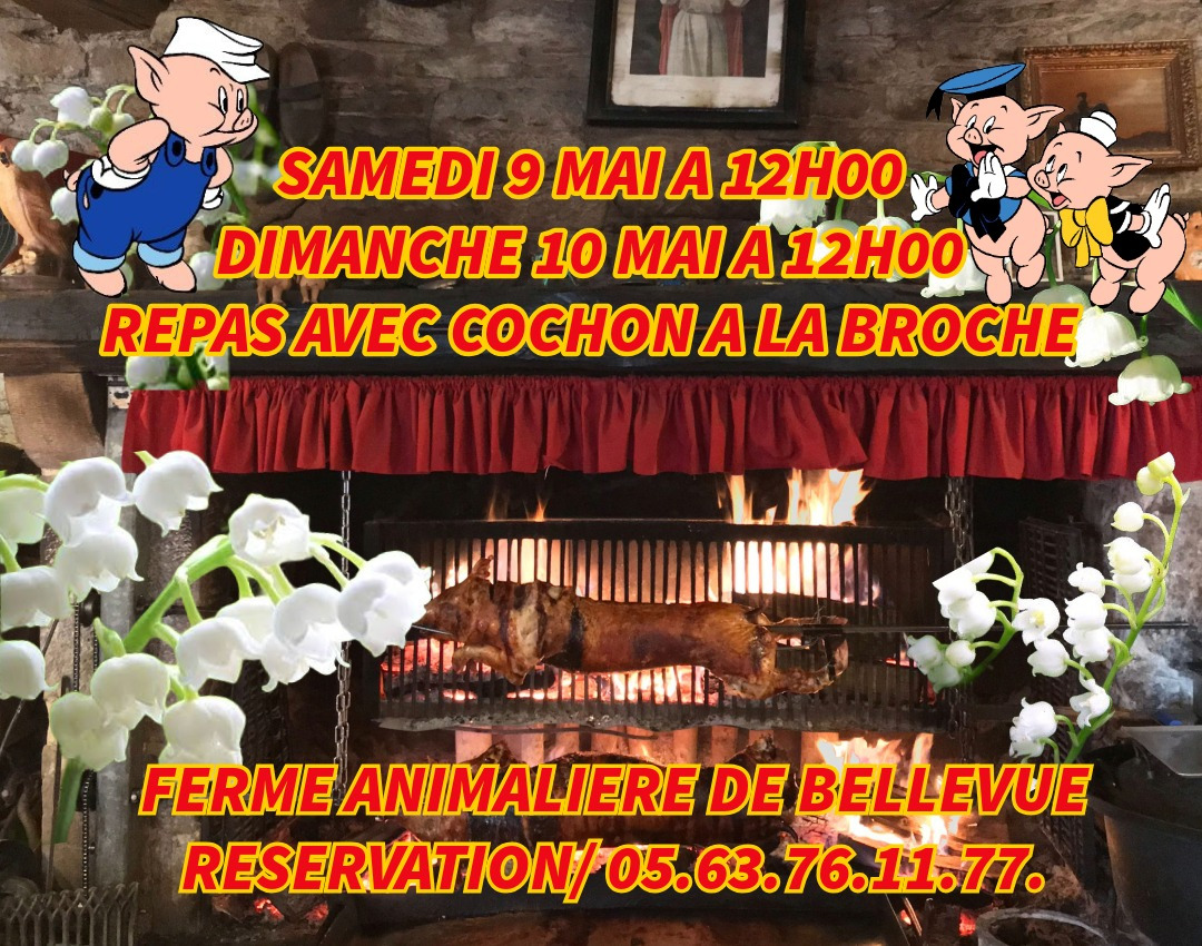 UNIQUE ATYPIQUE AUTHENTIQUE PEDAGOGIQUE