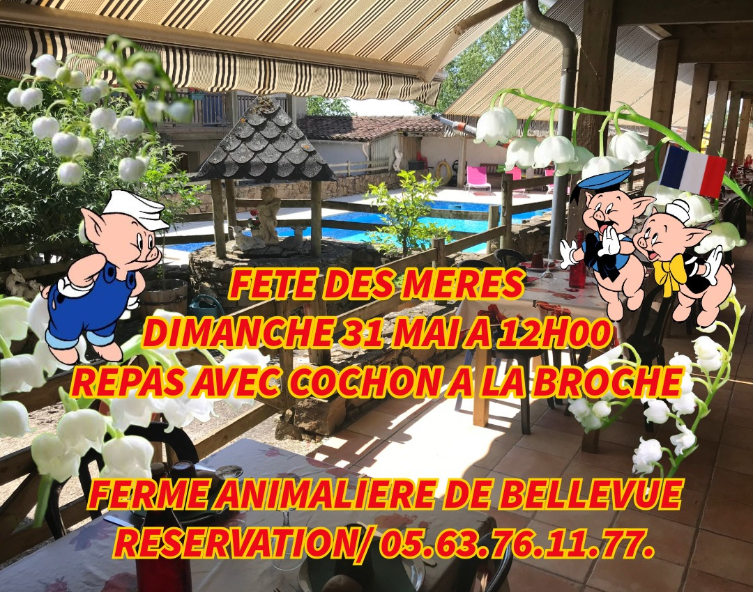 UNIQUE ATYPIQUE AUTHENTIQUE PEDAGOGIQUE